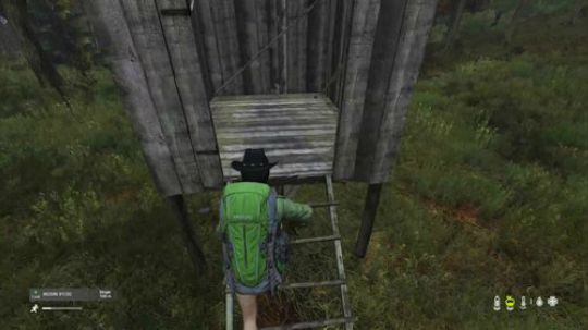 dayz最重要的一年过去了 2018-12-30 13点场