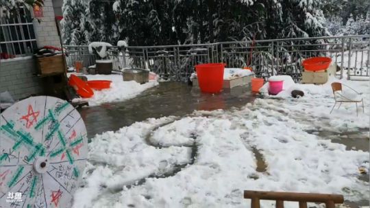 下雪了大家躁动起来。 2018-12-30 13点场