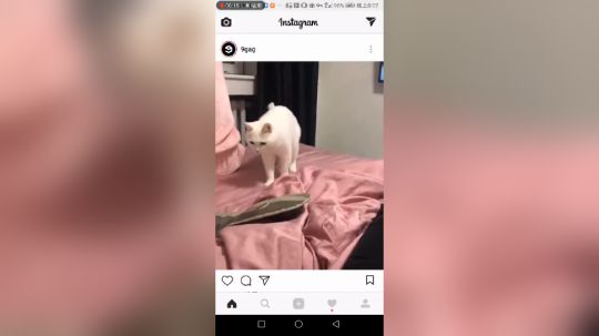 听说新年第一天工作的话会忙一年，没办法，今天和朋友出去嗨一下