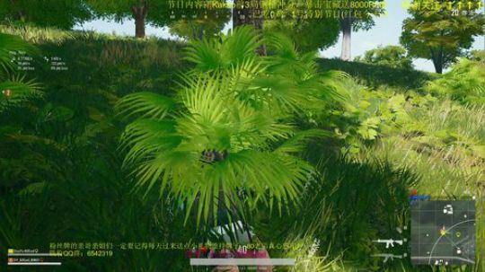 今天不吃10鸡不下播 2018-12-31 08点场