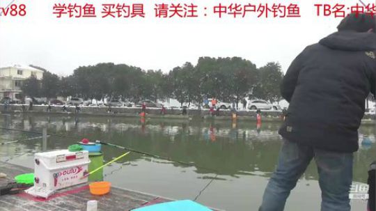 岁末大放送 2019-01-01 09点场