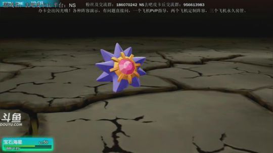 斗鱼最强宝可梦天王冠军，定制阵容， 2018-12-28 23点场