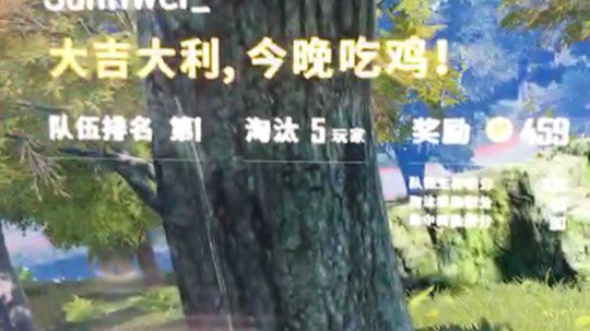 吃鸡