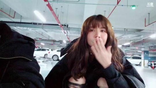心心恋凡发布了一个斗鱼视频2019-01-02