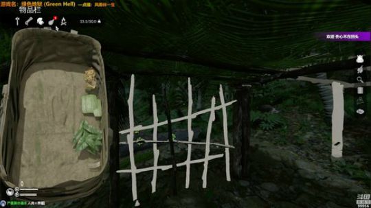 【绿色地狱】丛林求生 2019-01-02 16点场