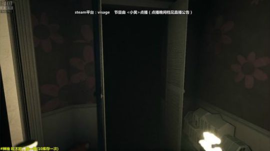 马里奥⭐️世界第一极难团 2019-01-01 21点场