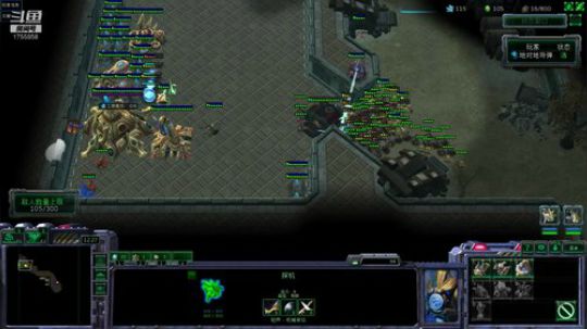 每天一盘星际二，轻松快乐每一天 2018-12-31 03点场