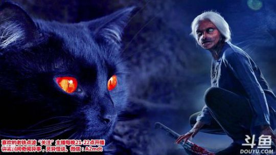 护法惊丶发布了一个斗鱼视频2019-01-02