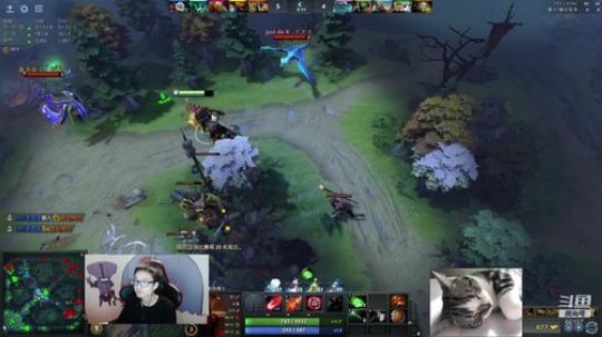 Shadow直播间：上个8000！ 2019-01-03 13点场