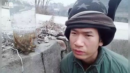 我在斗鱼看许文强户外直播户外