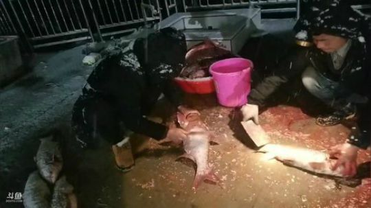 干了这个塘！ 468241 2018-12-29 19点场