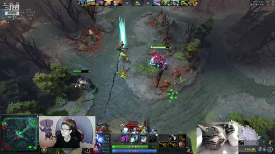 Shadow直播间：上个8000！ 2019-01-03 15点场