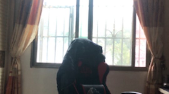你们居然说我没有鸟，都看看也是什么。
