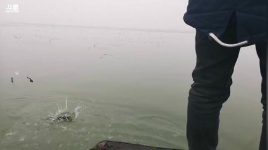 丿Good丶发布了一个斗鱼视频2019-01-04