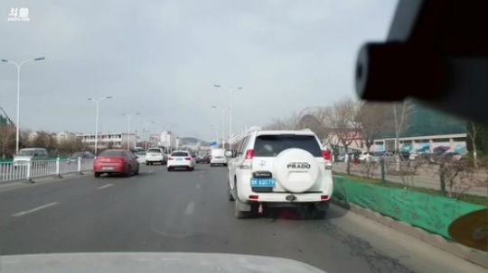 西北老狼哥哥发布了一个斗鱼视频2019-01-05