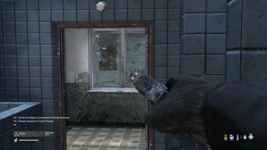 dayz僵尸末日1.0 2019-01-04 17点场