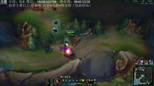 斗鱼第一豹女，杠杆定律百分百中Q 2019-01-06 02点场