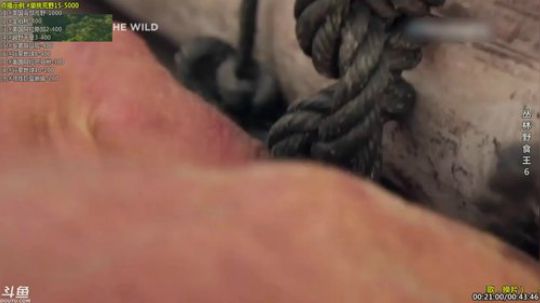 HHHISHHH发布了一个斗鱼视频2019-01-06