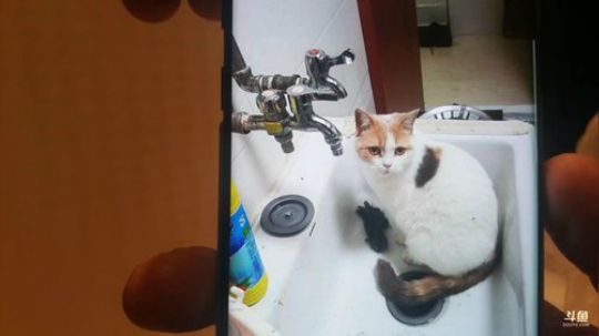 我在斗鱼看小主播无尽直播美食