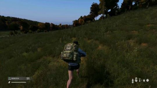 dayz僵尸末日1.0 2019-01-07 14点场