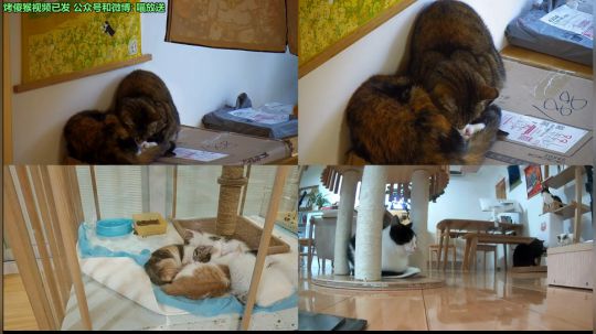 HHHISHHH发布了一个斗鱼视频2019-01-07