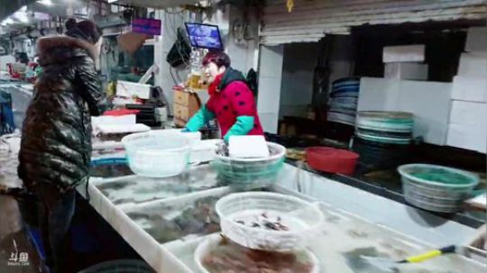 丿Good丶发布了一个斗鱼视频2019-01-08