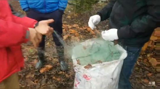 塘里放网有货没？？？ 2019-01-09 10点场