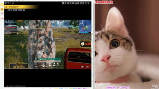 【极致画质】T1训练赛！备战盛典！ 2019-01-04 22点场
