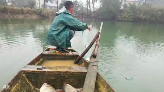 塘里放网有货没？？？ 2019-01-09 14点场