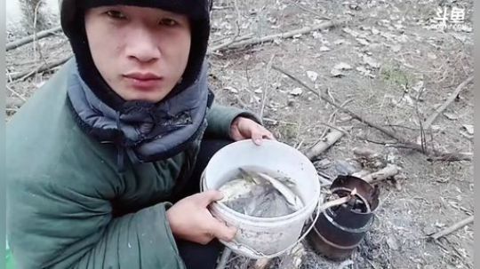 狗强：我要飞机啊！