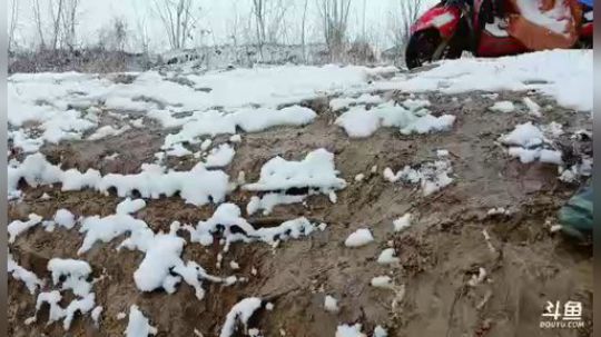 大雪喽！干大鱼？ 2019-01-09 10点场