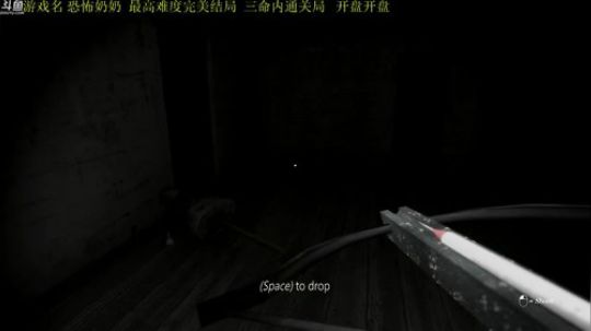 【管子】恐怖奶奶·另类搞笑高能主播 2019-01-10 19点场