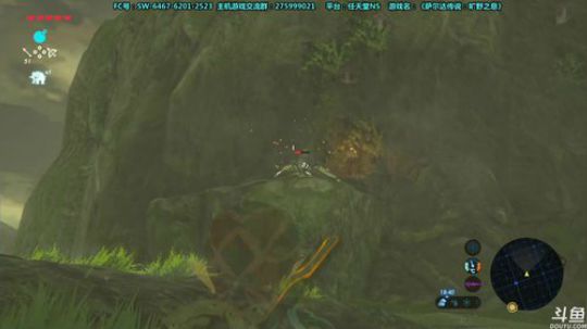 【皮皮】萨尔达传说：手残智熄 2019-01-06 17点场