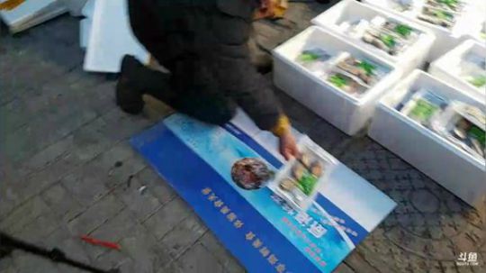 风里雨里，海鲜走起！ 2019-01-10 14点场