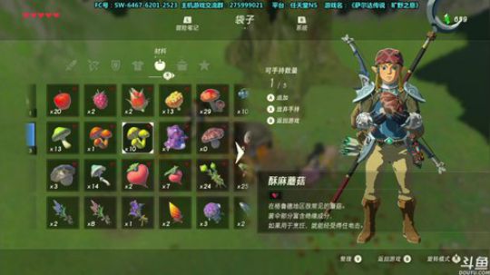 【皮皮】萨尔达传说：旷野！智熄 2019-01-07 21点场