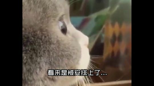 好尴尬啊。害羞~~~~