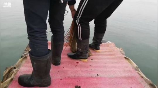 龙马精神之神笔马龙发布了一个斗鱼视频2019-01-11