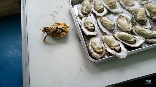 风里雨里，海鲜走起！ 2019-01-11 14点场