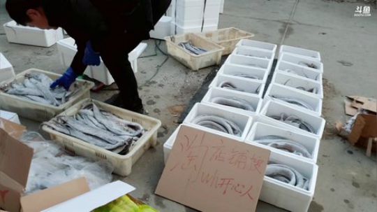 西北老狼哥哥发布了一个斗鱼视频2019-01-12