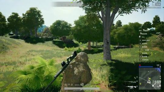 《来了老弟》 320155 2019-01-13 05点场