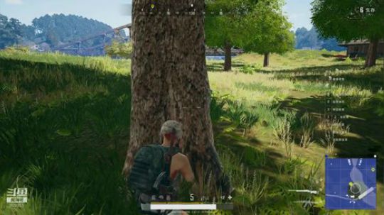 《来了老弟》 320155 2019-01-13 03点场