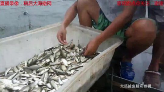 我在斗鱼看微山湖捕鱼武工队直播户外