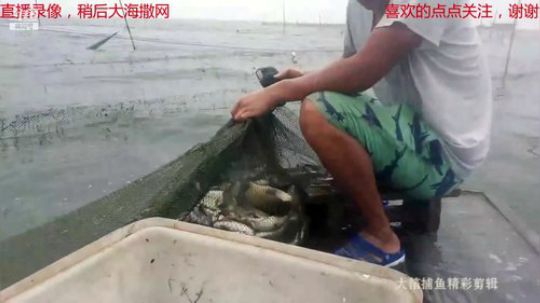 龙马精神之神笔马龙发布了一个斗鱼视频2019-01-13