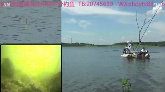 粉丝15级速速领取新年礼物啦！ 2019-01-15 09点场