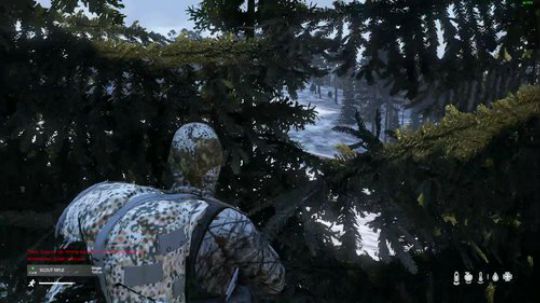 dayz僵尸末日1.0新版探秘 2019-01-16 15点场