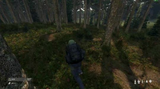 dayz僵尸末日1.0新版探秘 2019-01-16 17点场