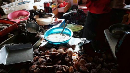 西北老狼哥哥发布了一个斗鱼视频2019-01-17