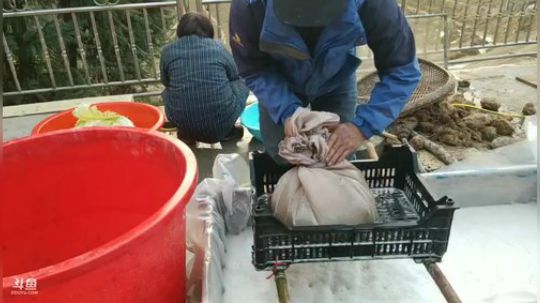 制造葛粉，做美食。 2019-01-17 16点场