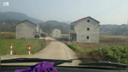 去塘里弄大红鲤鱼。 2019-01-17 11点场