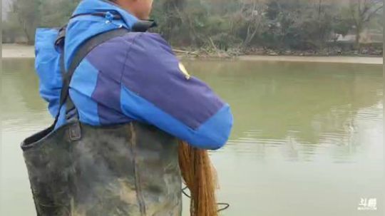 抓甲鱼，红鲤鱼。 2019-01-18 11点场